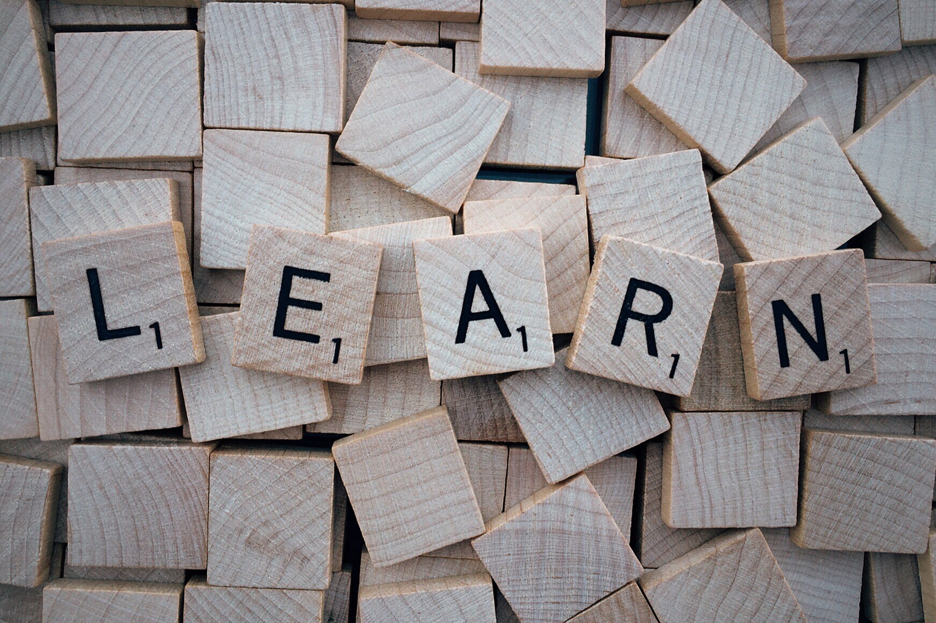 Picture of blocks spelling the word 'Learn'